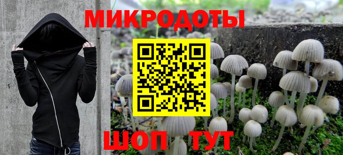 закладка  Вход с VPN  Добрянка  Галлюциногенные грибы Psilocybine cubensis 